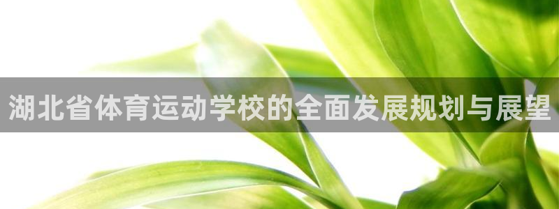 必发官方正版app集团官网首页网址:湖北省体育运动学校的全面