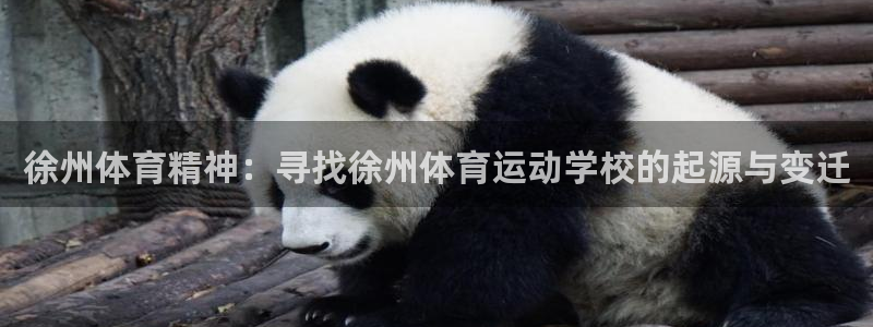 必发官网下载招商电话号码查询是多少:徐州体育精神:寻找徐州体