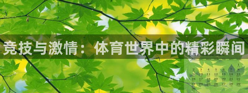 必发官网下载软件:竞技与激情:体育世界中的精彩瞬间
